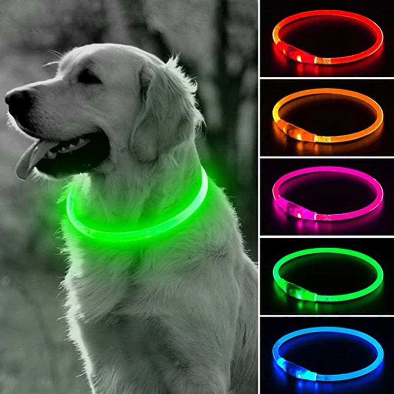 LED Collar for Dogs and Cats