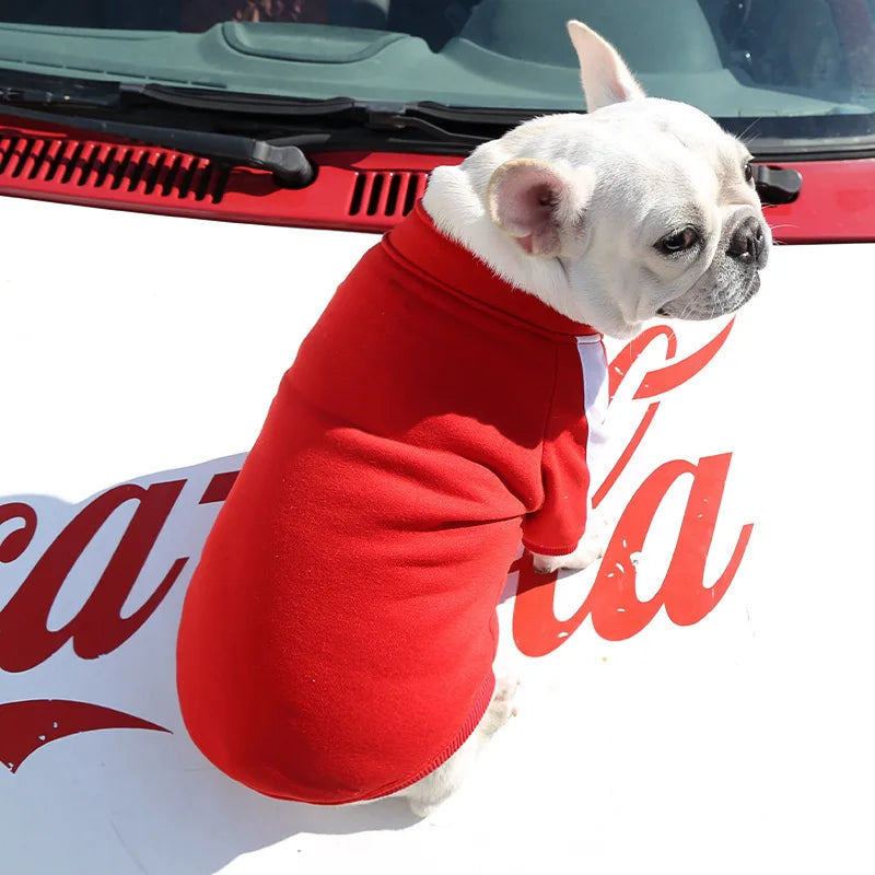 Winter Jacket for Dogs - Comfort and Style for Your Pet!