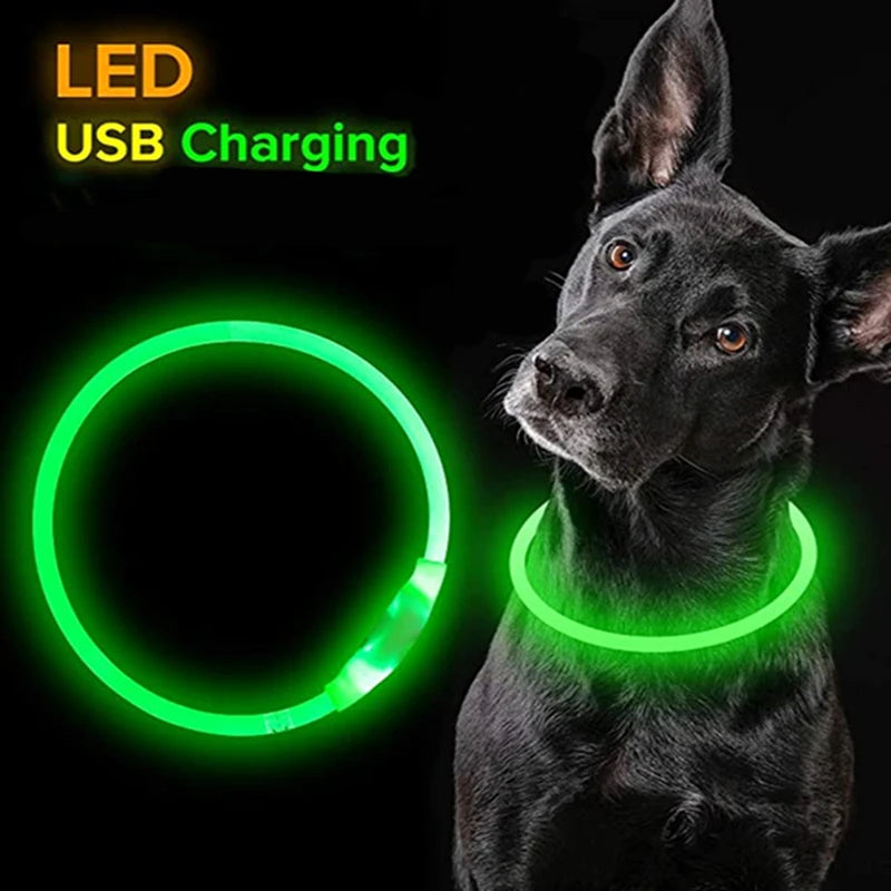 LED Collar for Dogs and Cats