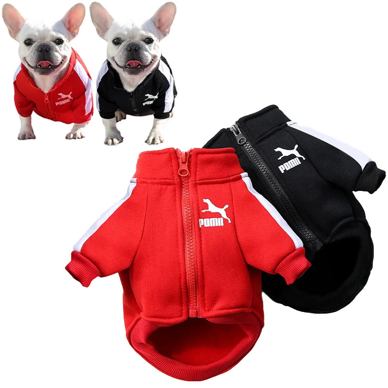 Winter Jacket for Dogs - Comfort and Style for Your Pet!